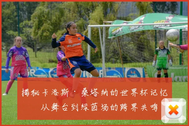 揭秘卡洛斯·桑塔纳的世界杯记忆：从舞台到绿茵场的跨界共鸣