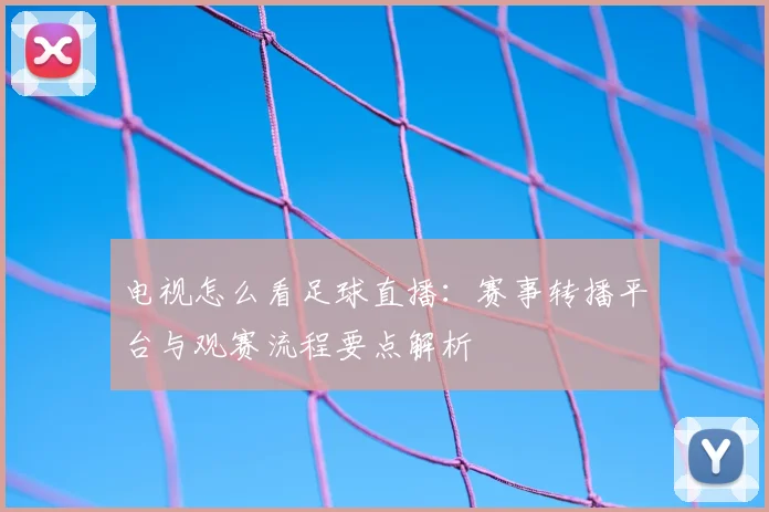 电视怎么看足球直播：赛事转播平台与观赛流程要点解析