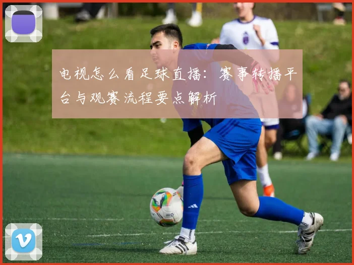 电视怎么看足球直播：赛事转播平台与观赛流程要点解析