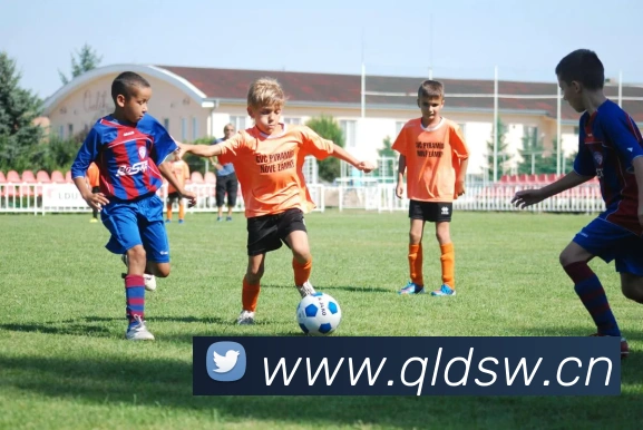 巅峰国际pg登录入口APP 封面图